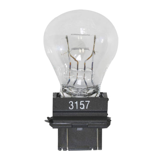 Bulb Halogen - 3157 Clear