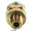 Single Check Valve 1/2