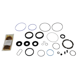 Sector Shaft Seal Kit - THP600001