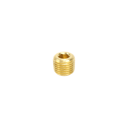 Brass Hex Countersunk Plug - 1/4"