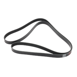 8 Rib Belt - 8PK2672