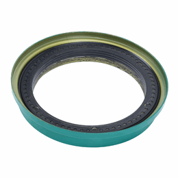 Oil Seal Kit