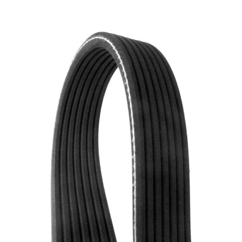 Serpentine Belt, 8 Rib -  8PK1460